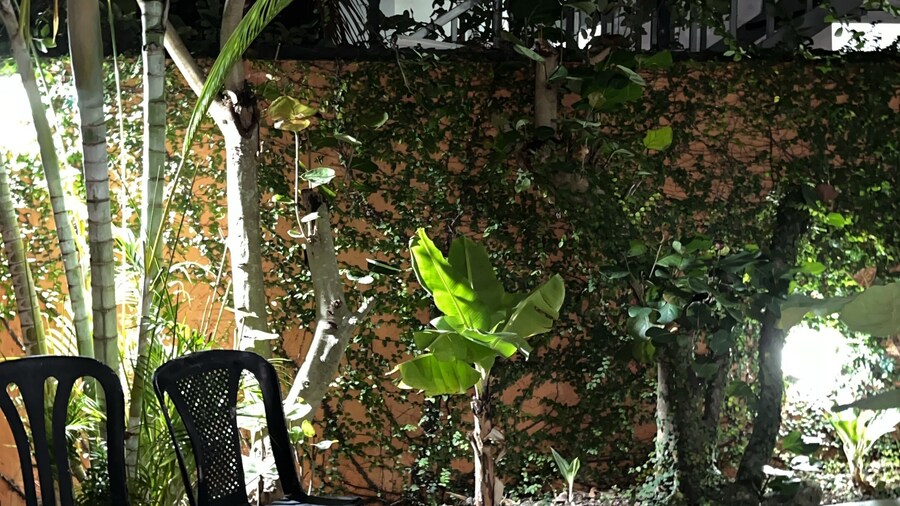 MANAYA Bed & Breakfast