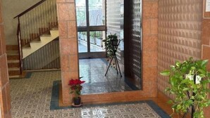 A hallway with patterned flooring, a staircase, and a potted plant.