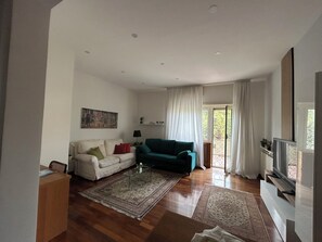 Televisor i llibres