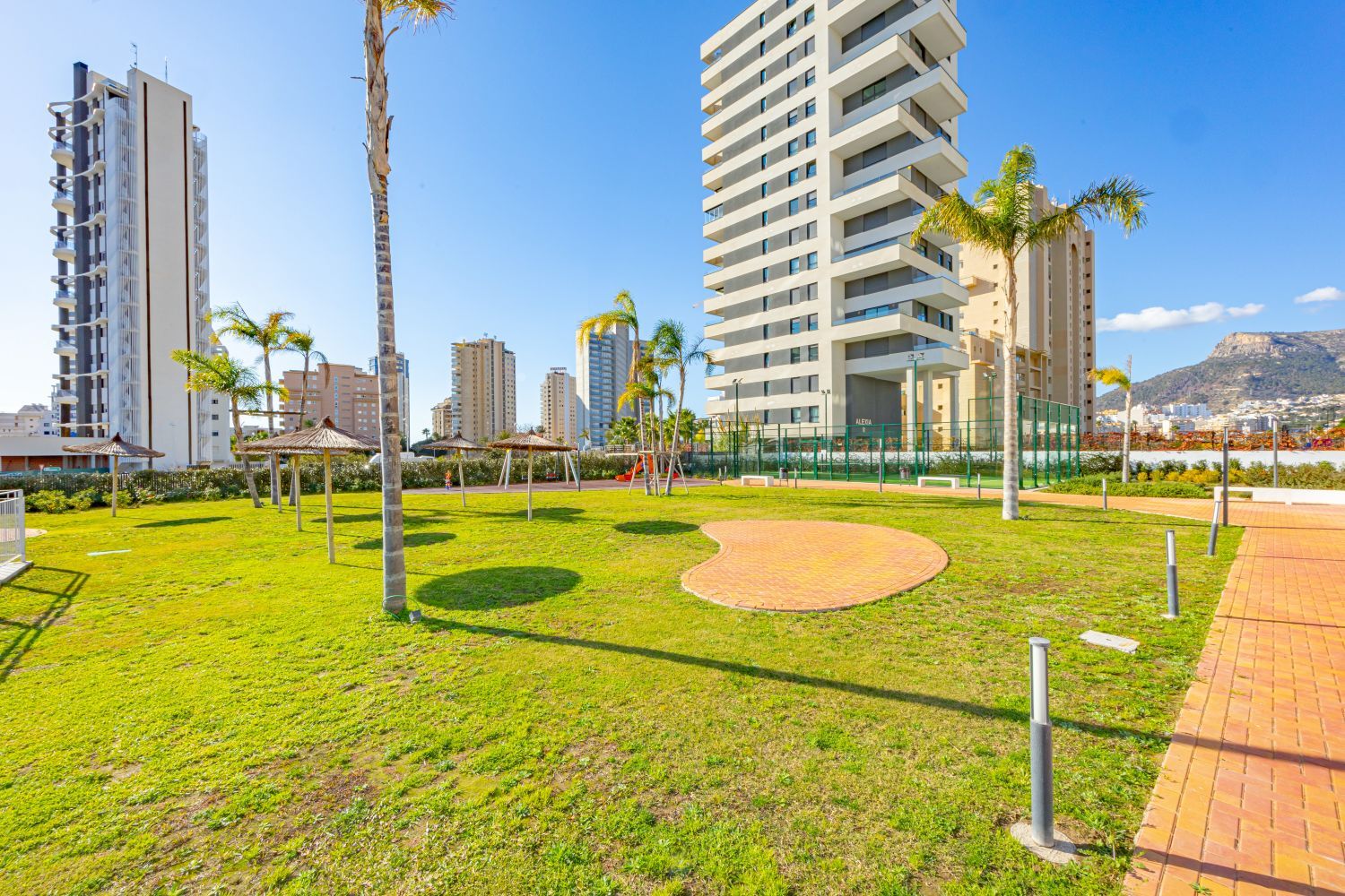 A park with grass, palm trees, and a playground.