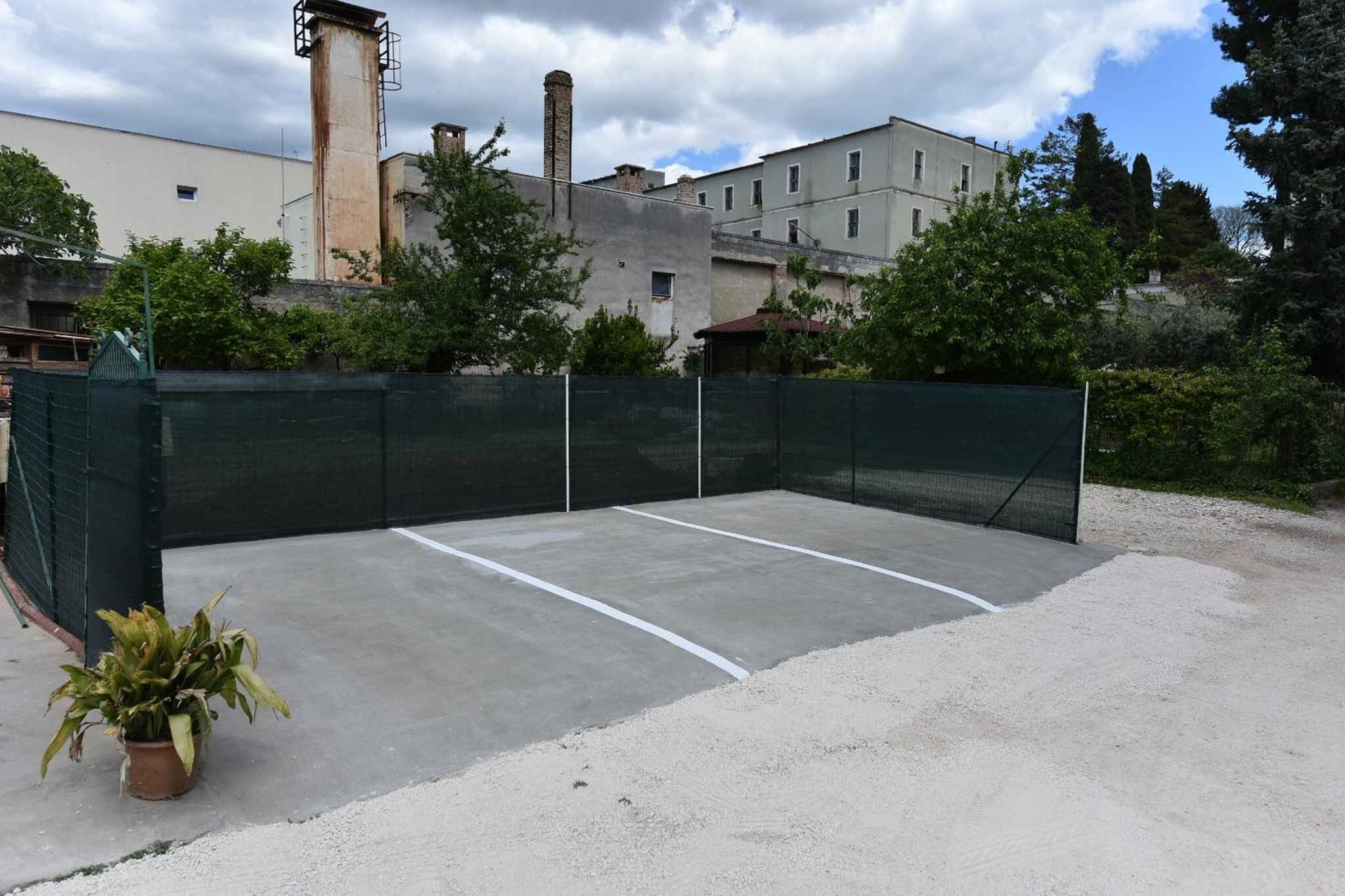Una cancha de tenis al aire libre con valla verde, una planta en maceta y edificios al fondo.