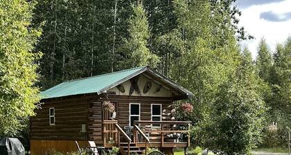 Charming 1-bedroom cabin in welcoming Houston with WiFi