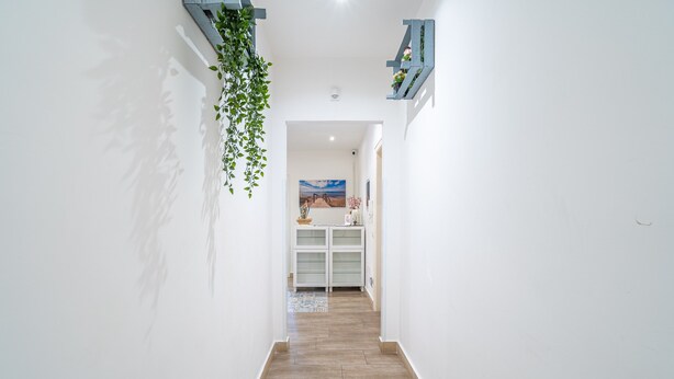Un pasillo con piso de madera, paredes blancas, una planta colgante, un estante azul y un cuadro al fondo.