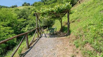 A gravel path leading to a wooden pergola with a table and chairs, surrounded by lush greenery.