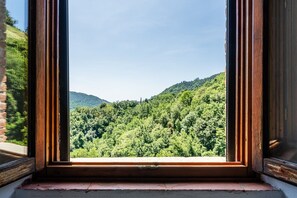 Ein Fenster mit Blick auf einen bewaldeten Hügel.