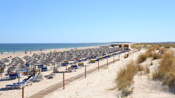 Une plage bordée de rangées de transats et de parasols, un sentier sablonneux et un bâtiment visible au loin.