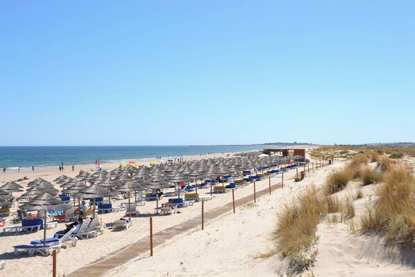 Playa en los alrededores 