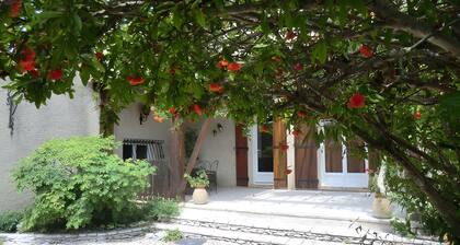 Lou Brès in Provence near Avignon with swimming pool and private gardens Wi Fi and air conditioning