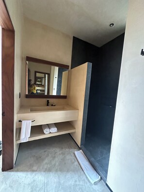 シャワー、ヘアドライヤー、タオル、石鹸