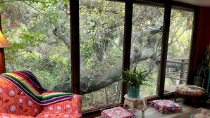 A room with a large window, a colorful sofa, a small table, and a decorative plant.