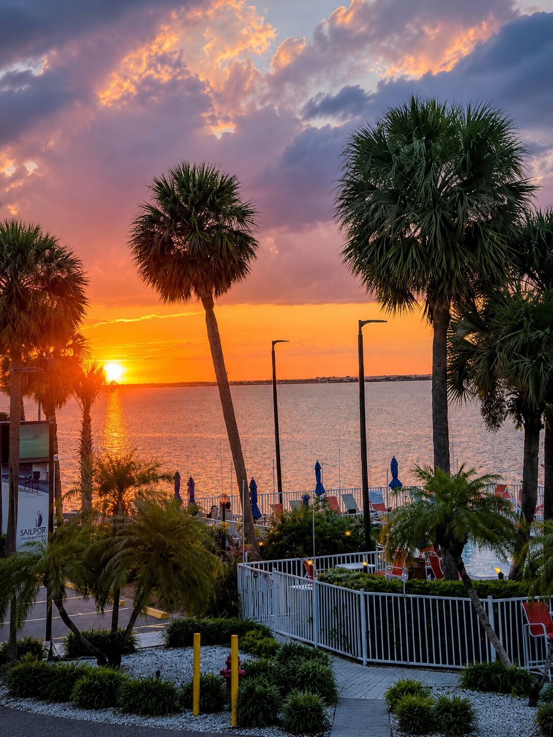 A sunset view with palm trees and a beachside promenade.