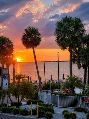 Vista al atardecer con palmeras y un paseo marítimo.