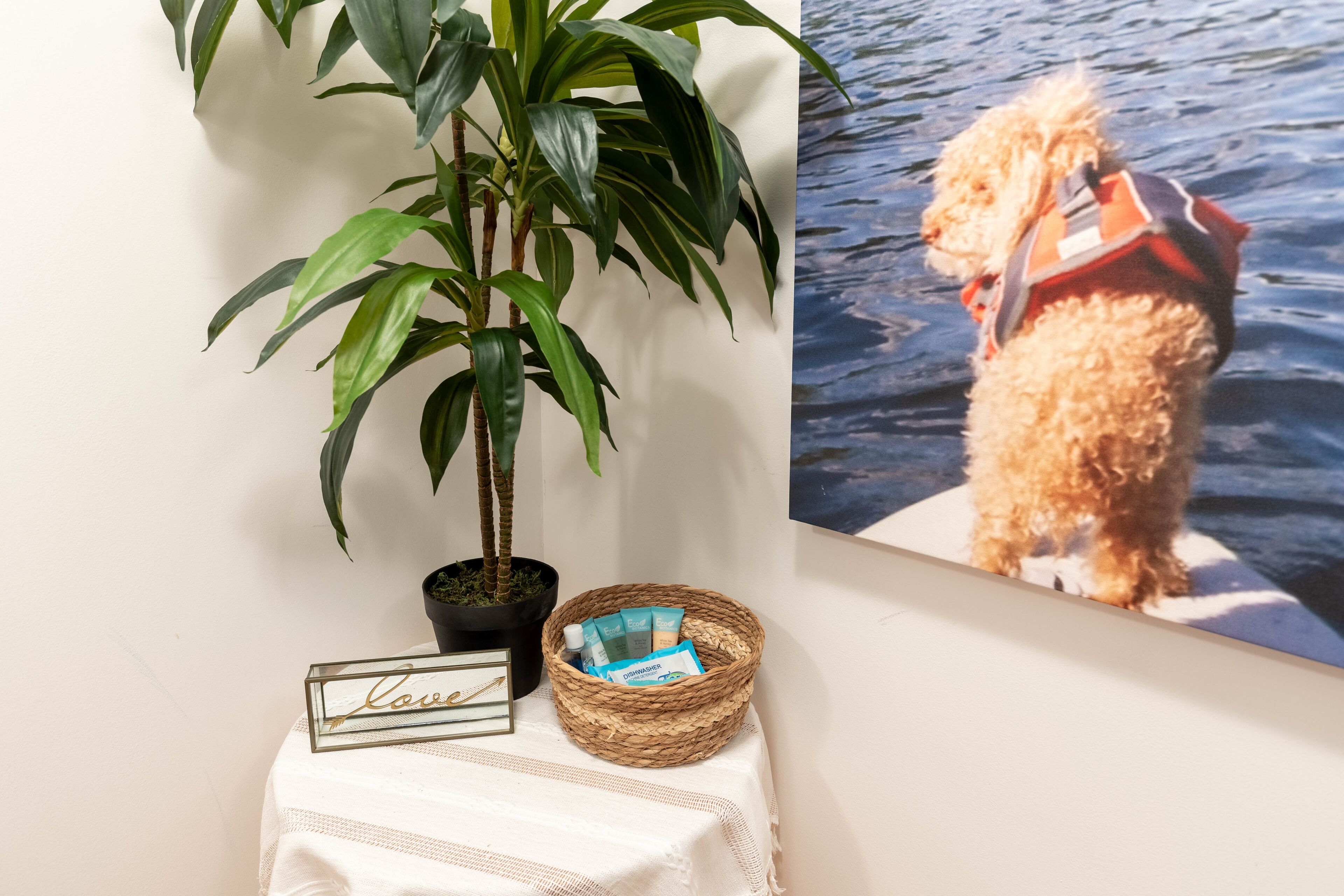 A potted plant, a basket with items, and a framed sign on a table.