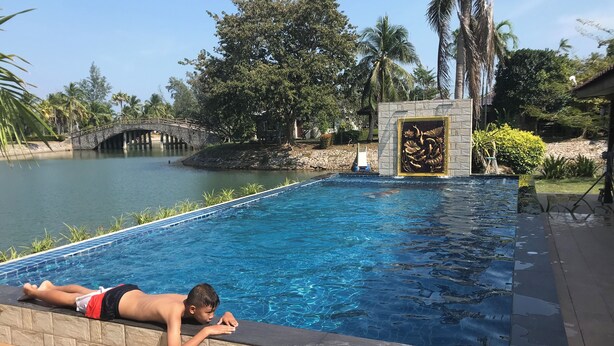 A swimming pool with a stone border, a bridge, and palm trees in the background.