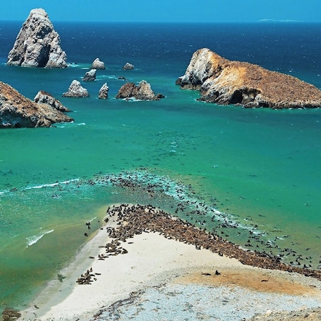 Playa