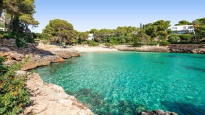 Una zona costera con aguas turquesas cristalinas, costas rocosas y edificios al fondo.