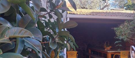 Un espace patio aménagé avec une table et des chaises, entouré de grandes plantes vertes.