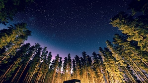 A cabin in a forest at night with a starry sky.