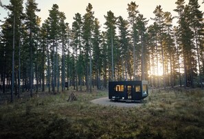 Eksteriør