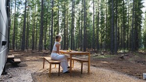 A person sitting at a wooden table in a forested area with a tent in the background.