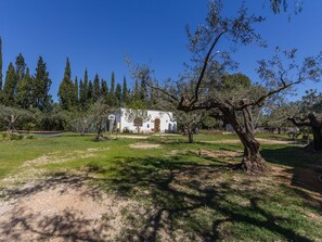 Property grounds - RURAL FAMILY HOUSE WITH POOL & AC – EL NOSTRE CANTIR (L'Ametlla de Mar)