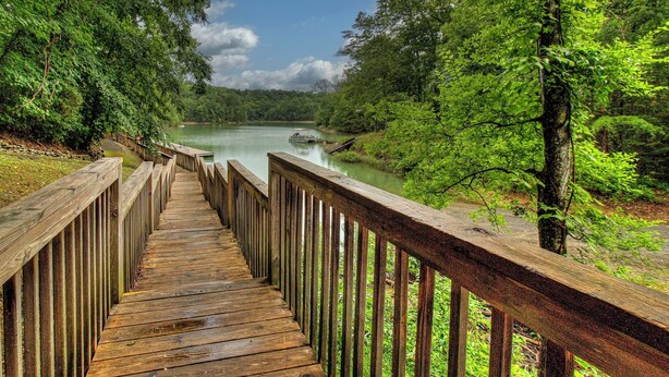 A wooden boardwalk leading to a river with boats, surrounded by dense green trees. - Cozy 2-bedroom cabin in welcoming lake Douglas, Sevierville near Pigeon Forge (Sevierville)