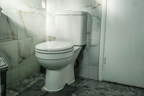 Douche, serviettes fournies, savon, papier de toilette