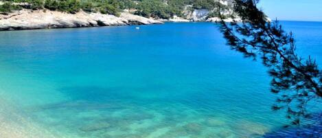 Plage à proximité