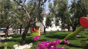 Un jardín con un parque infantil, un cactus y plantas florecientes.