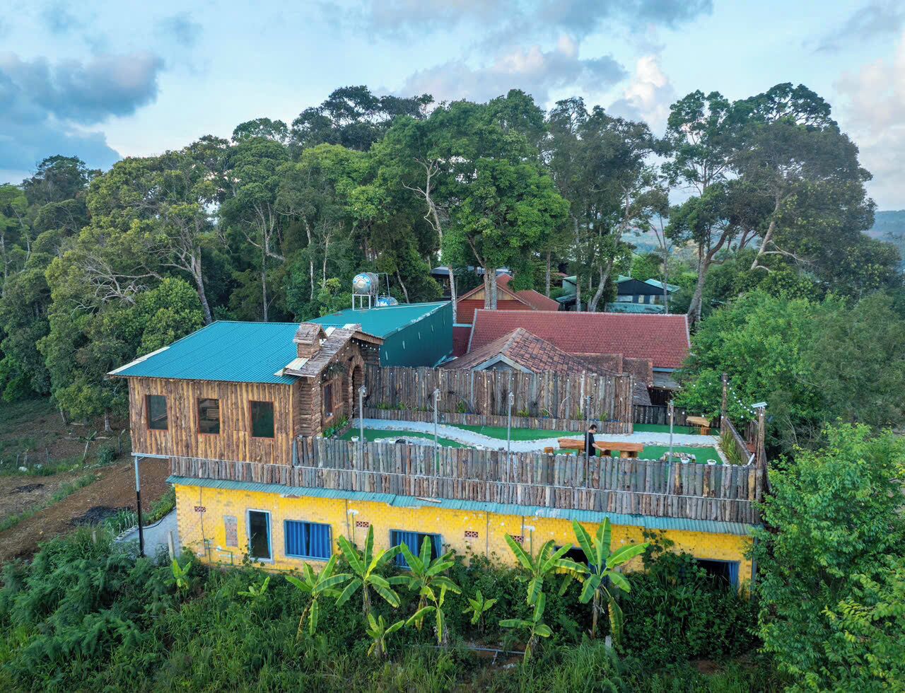 Ein rustikales Holzhaus mit einem grünen Dach, umgeben von üppiger Vegetation und Bäumen.