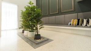Una sala de estar moderna con un sofá gris, una planta grande en maceta y un tapete blanco.