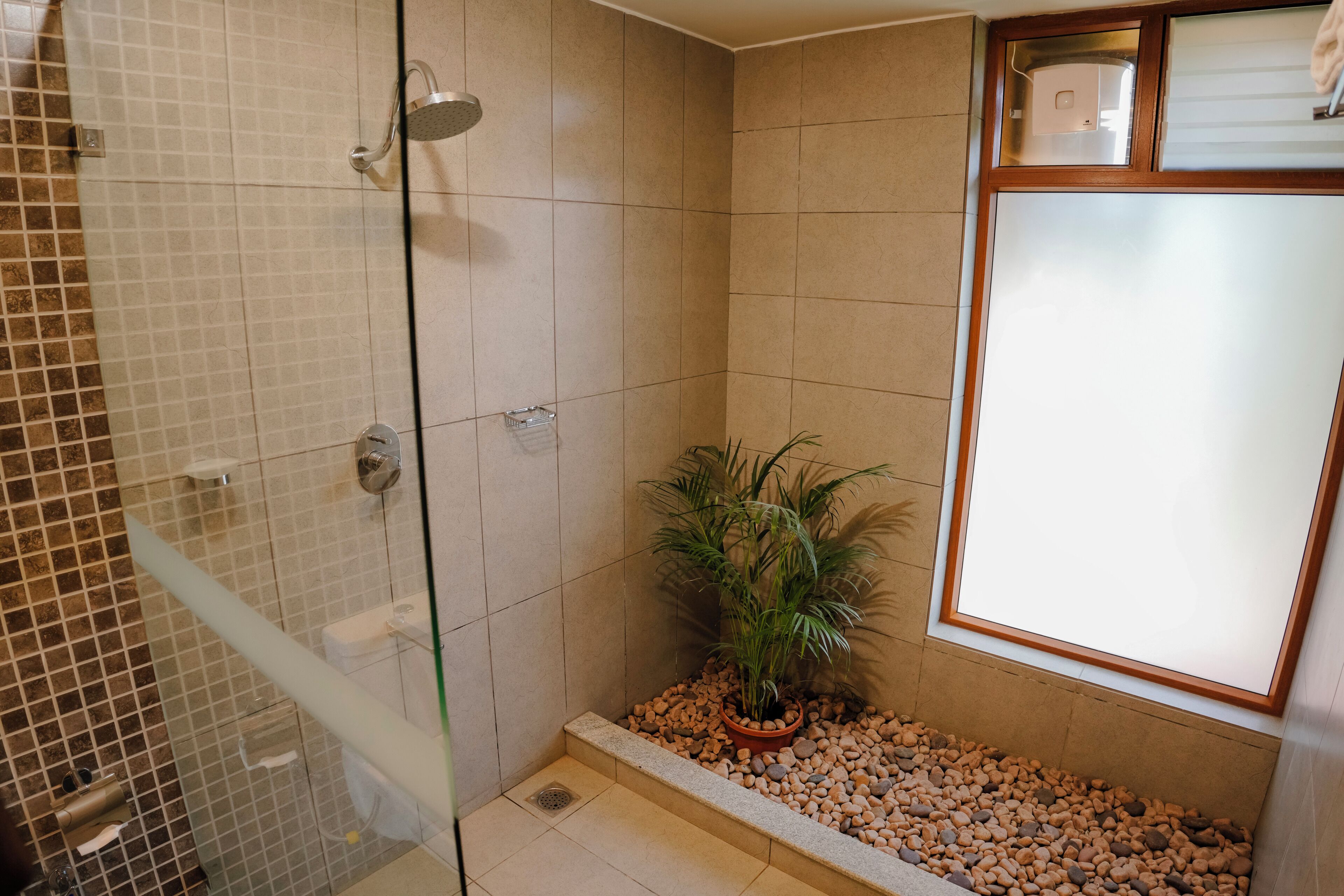 A bathroom with a glass shower enclosure, a potted plant, and a window with frosted glass.
