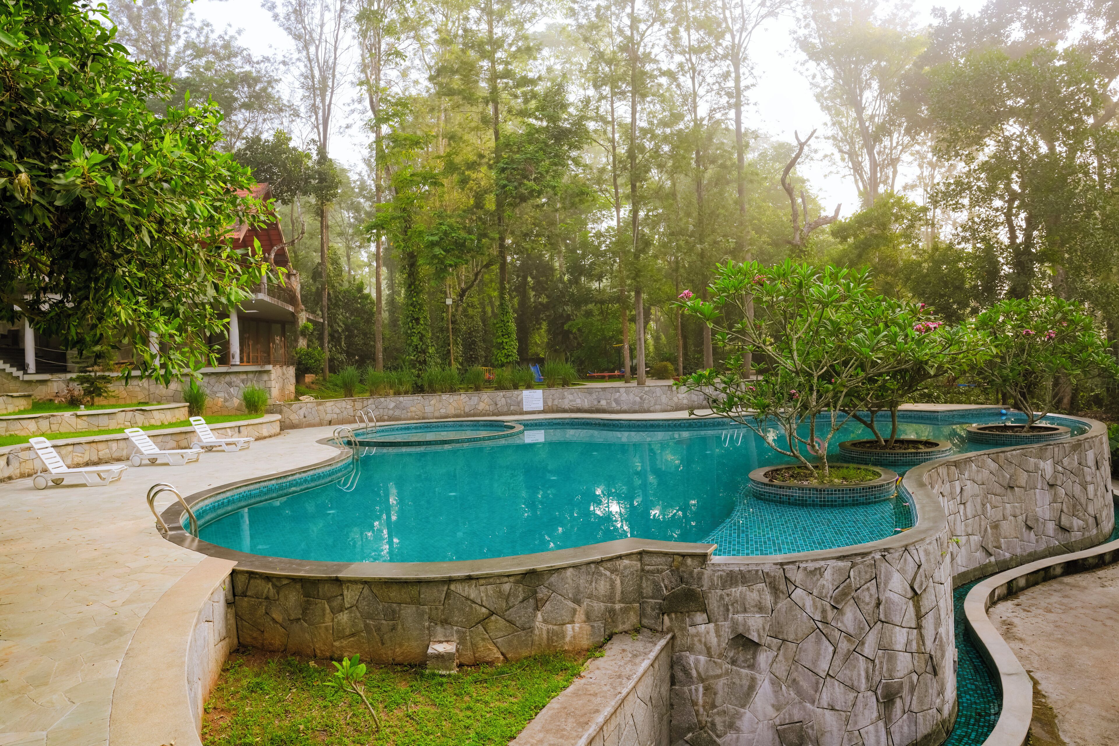Une piscine bordée de pierres, entourée d’une végétation luxuriante et d’arbres.