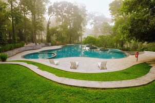 Una piscina de diseño curvo, rodeada por una terraza de piedra y césped.