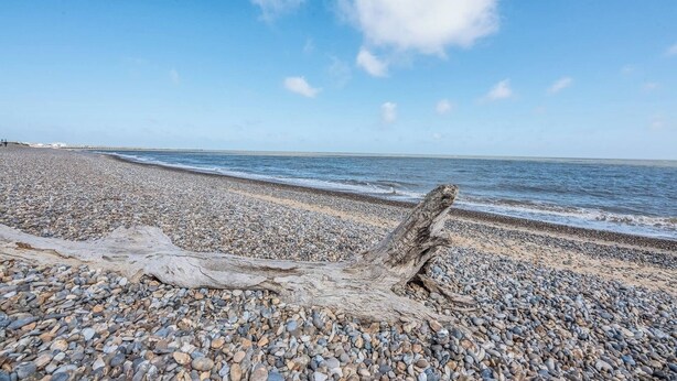 A pebbled beach with a driftwood log in the foreground and a clear blue sky.