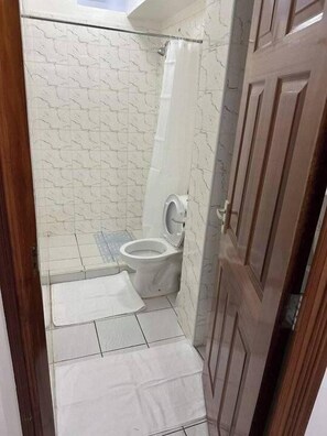 Ein kleines Badezimmer mit Toilette, einer Duschvorhang und einer Holztür.
