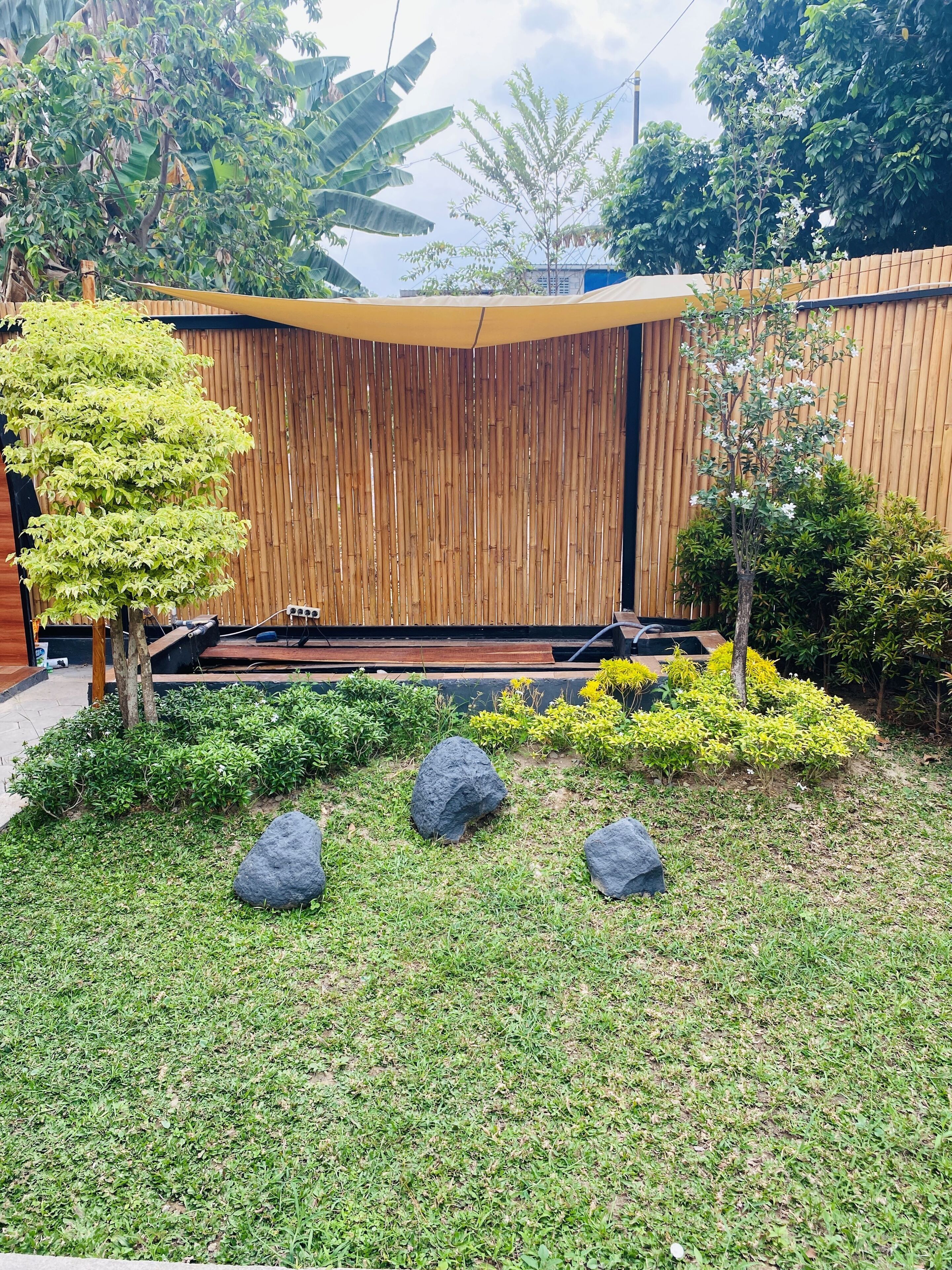 A garden with a bamboo fence, a small tree, and a rock garden.