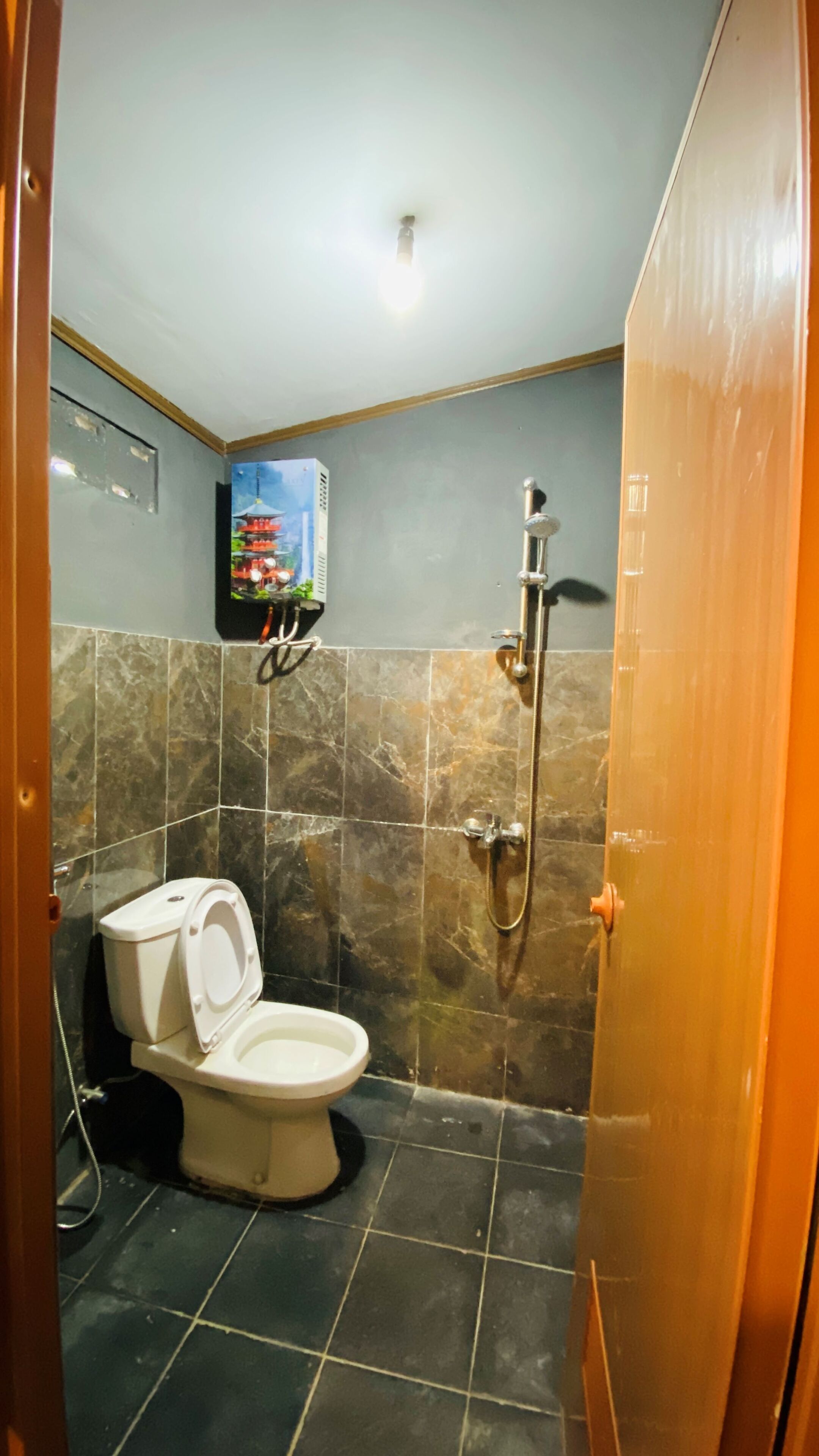 Een badkamer met een toilet, een douche en een wastafel.