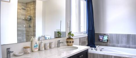 Assecador de cabells, bidet, tovalloles i sabó