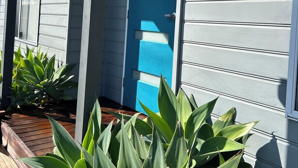A house with a blue door, a tree logo on the wall, and large green plants in front. - 21A Boab Cottage (Mayfield)