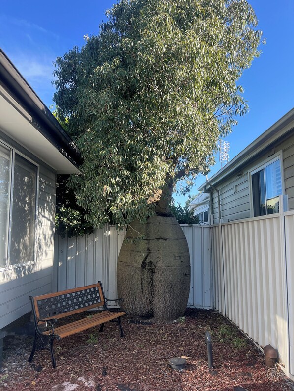 A backyard with a wooden bench, a large tree, and a white fence. - 21A Boab Cottage (Mayfield)