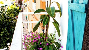 Un balcón con planta en maceta y flores, una puerta azul y suelo de baldosas.