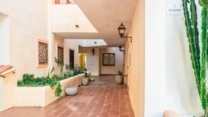 Un pasillo estrecho con suelo de baldosas, plantas en macetas y un cactus a la derecha.