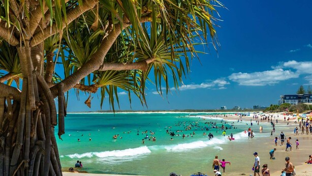 A beach with palm trees, clear turquoise water, and people enjoying the beach. - Bright 2-Bed Apartment with Stunning Ocean Views (Kings Beach)