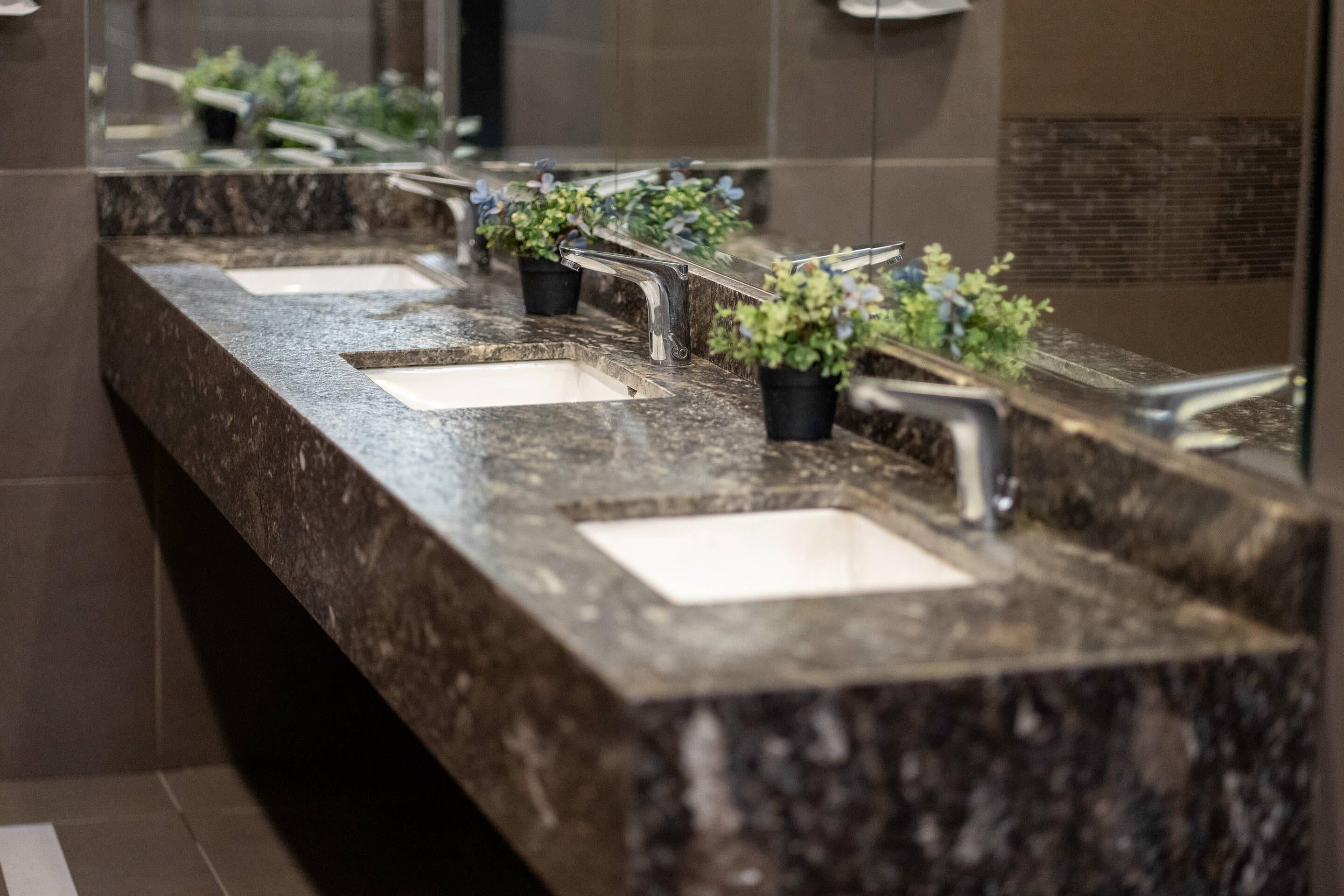 A bathroom with three sinks, each with a mirror above. There are potted plants on the counter.
