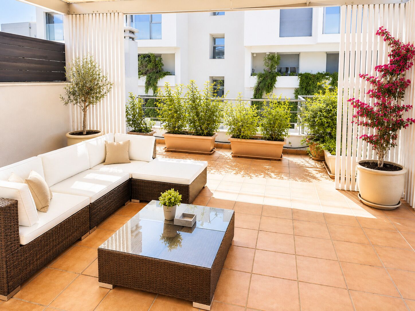 A sunlit outdoor seating area with a sofa, a coffee table, and potted plants.