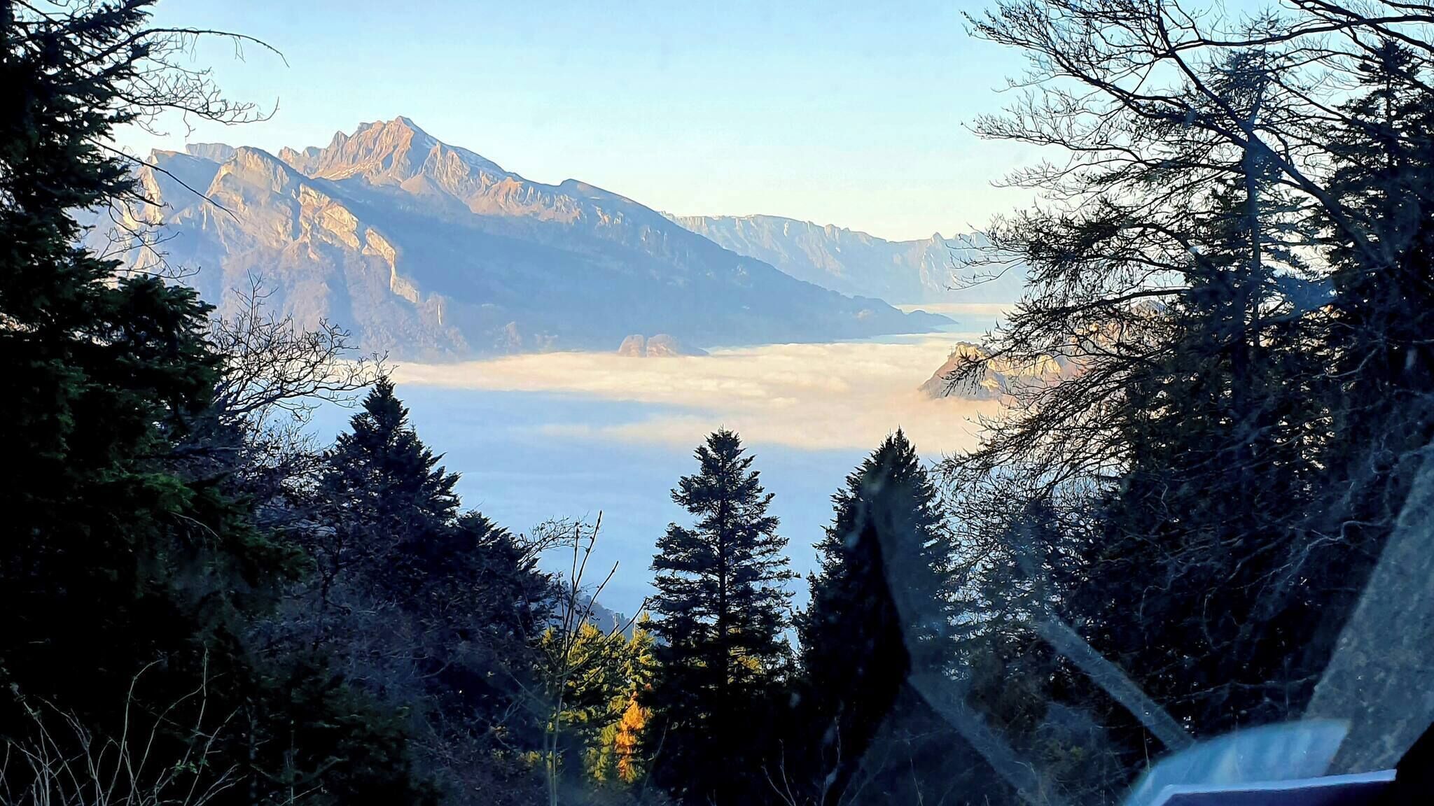 Paisaje montañoso con un primer plano boscoso y vistas de cumbres distantes.