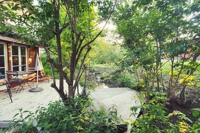 Spectacular Swiss Experience