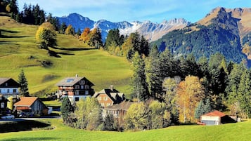 Ferienhaus, 6 Schlafzimmer, Balkon, Gartenblick | Aussenbereich