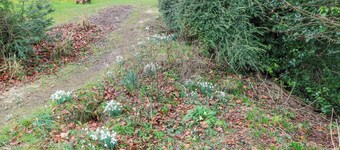 แกลลีย์ ฮิลล์ การ์เดน สตูดิโอ